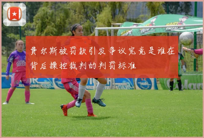 费尔斯被罚款引发争议究竟是谁在背后操控裁判的判罚标准